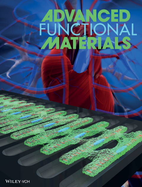 Advanced Functional Materials magazine cover.
